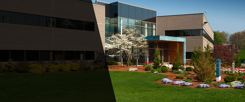 Port Richey Landscapers