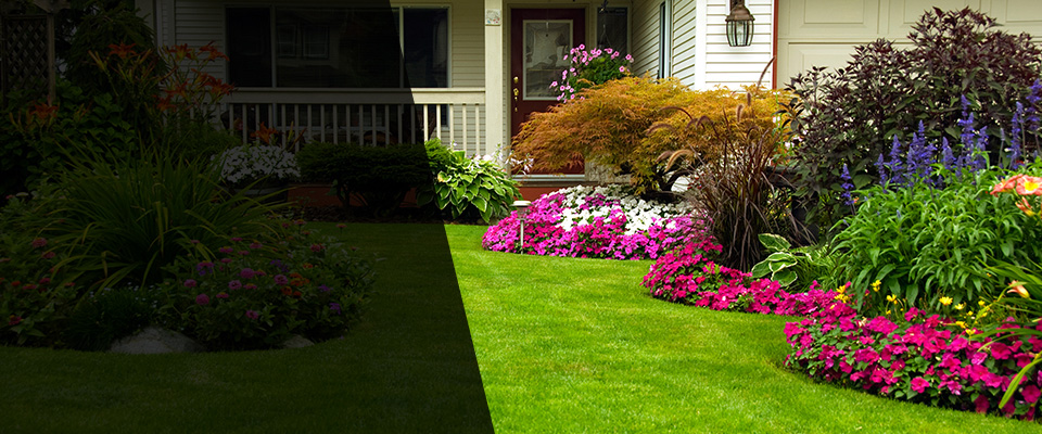 Port Richey Landscapers